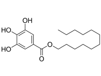 沒食子酸月桂酯，99%（HPLC)