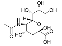 N-乙酰神經氨酸
