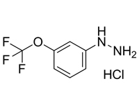 3-三氟甲氧基苯肼鹽酸鹽，98%（HPLC）
