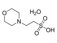 2-(N-嗎啉）乙磺酸一水合物，99%