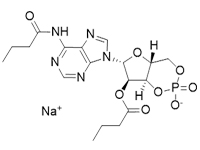N6,2′-O-二丁酰基腺苷3′,5′-環(huán)磷酸 鈉鹽，97%