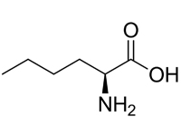 L-正白氨酸，98%（HPLC)