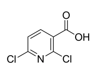2,6-二氯吡啶-3-羧酸，98%