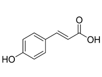 對(duì)羥基肉桂酸，98%（HPLC）