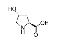 L-羥基脯氨酸，99%