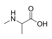 N-甲基-DL-丙氨酸，98%（HPLC）
