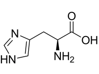L-組氨酸，99%