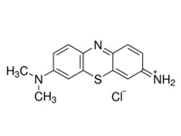 姬姆氏色素，BS 